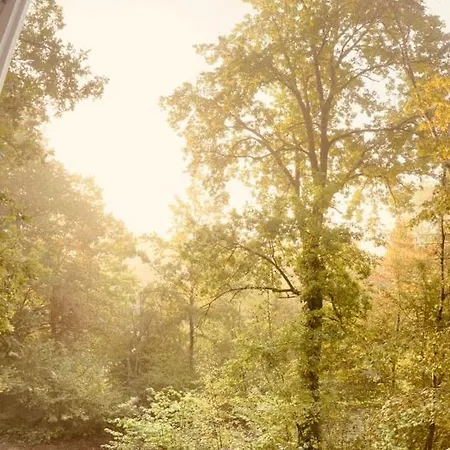 190 La Belle בקתה