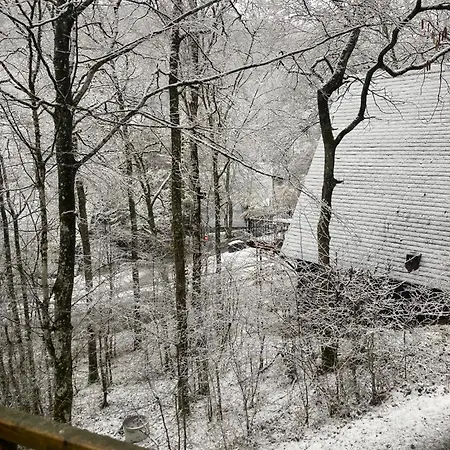 190 La Belle דורבורי