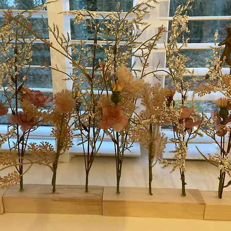 190 La Belle Alpstuga