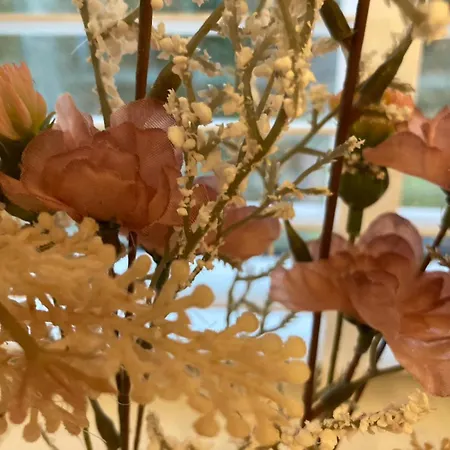 190 La Belle בקתה דורבורי